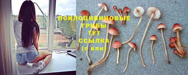 гидра Остров