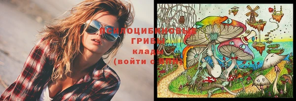 гидра Остров