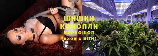дмт Осташков