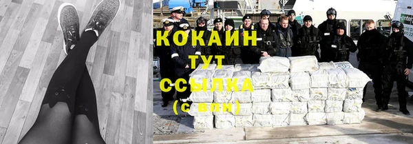 дмт Осташков