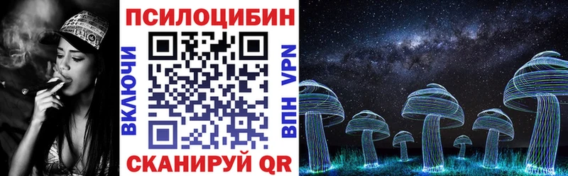 даркнет сайт  Туран  OMG tor  Псилоцибиновые грибы Psilocybine cubensis 